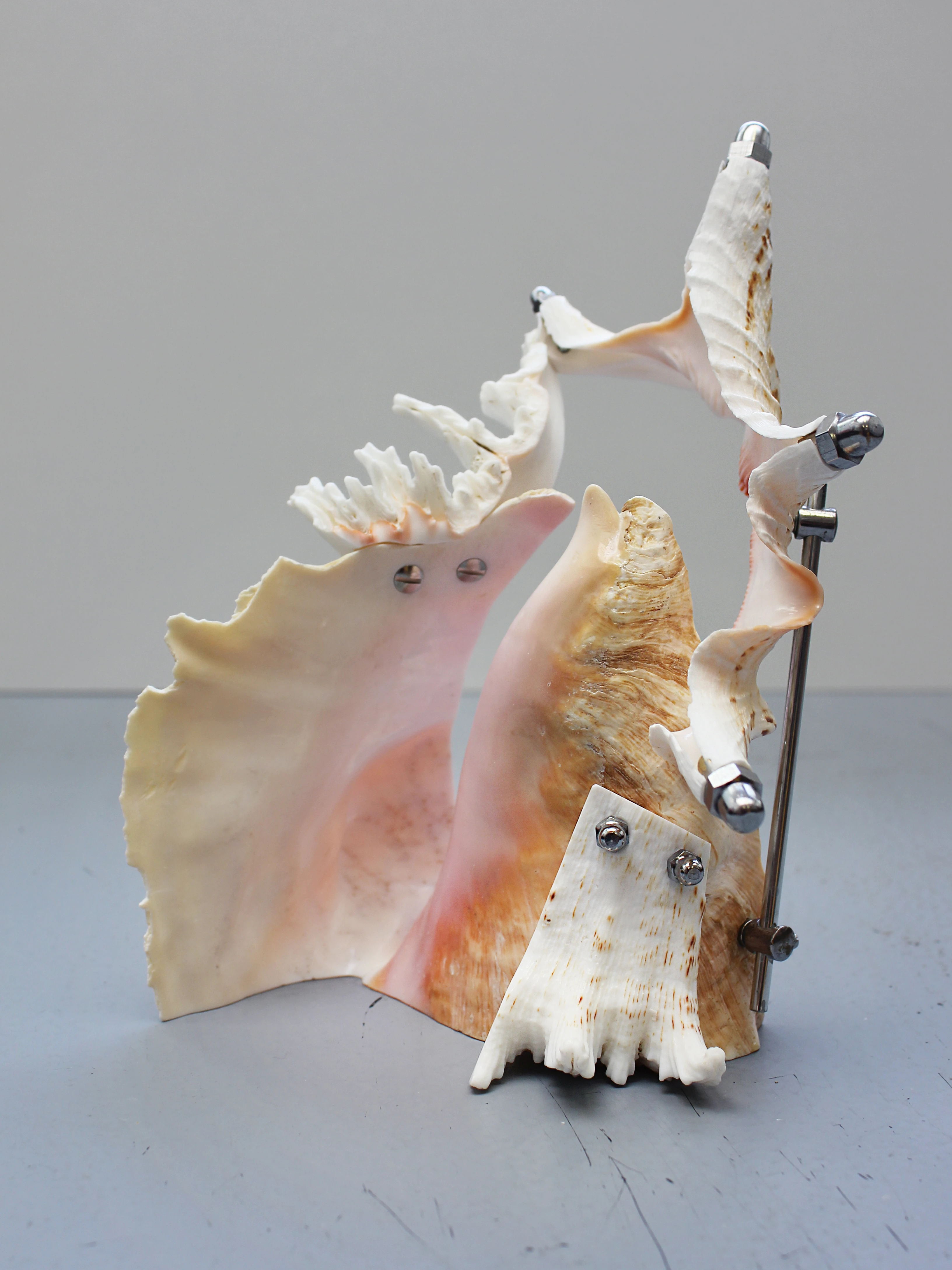 QUESTIONING NORMALCY – Ausstellung und Forum im Westwerk